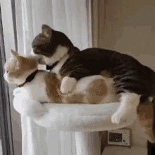 4375D6F8-336A-4193-BB16-4C25B85D8A86.gif