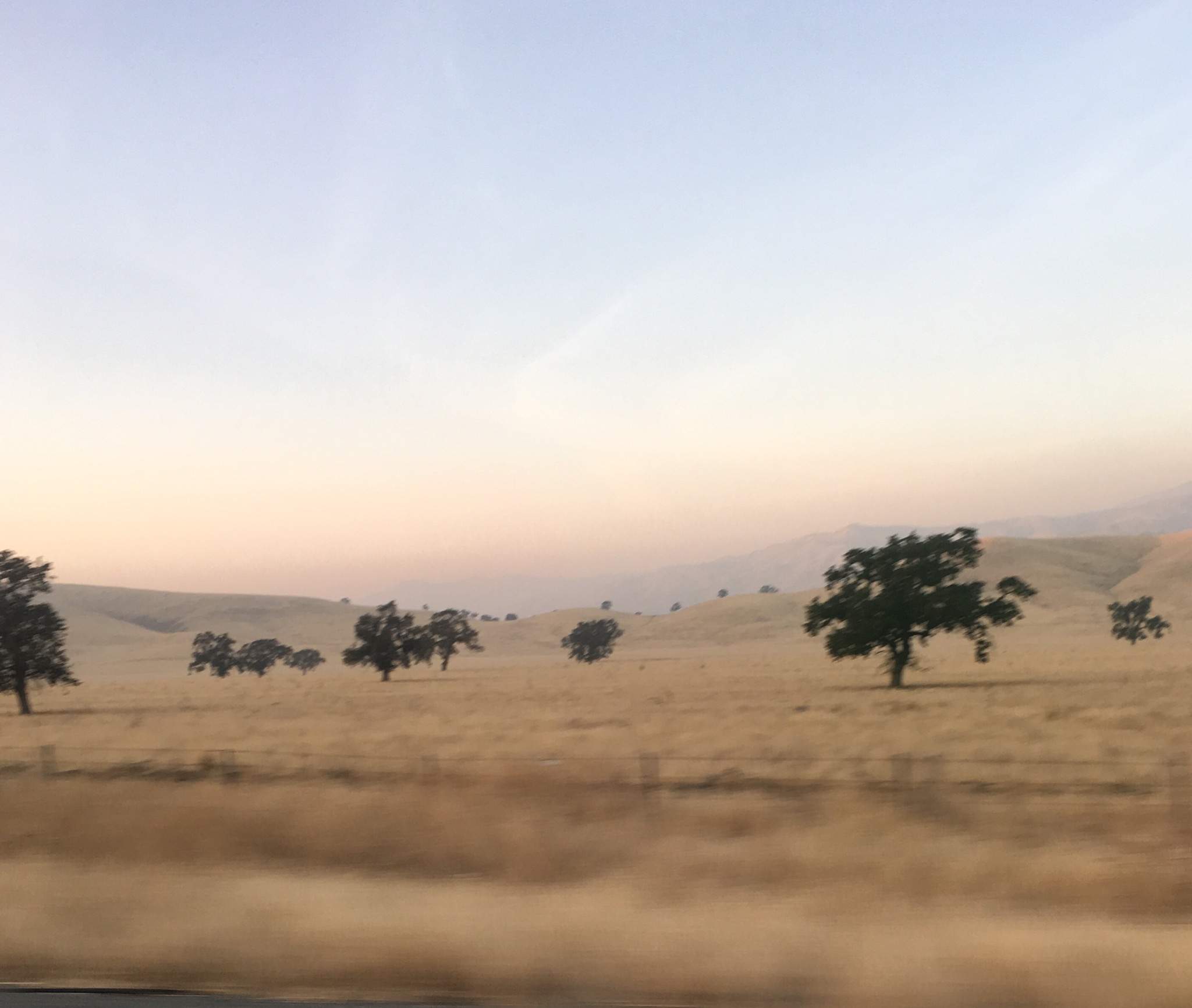 43C31403-AECF-4D7B-9980-2E9F817F5982.jpeg
