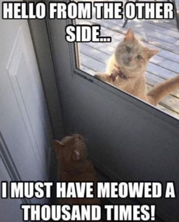 4407260D-BE79-45BE-9C2B-ADBF4BB5F477.jpeg