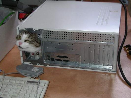 441.jpg