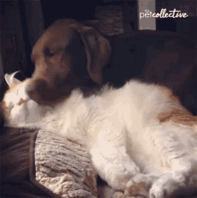 44797362-6FCC-4F37-B1B0-7CA02A325FD2.gif