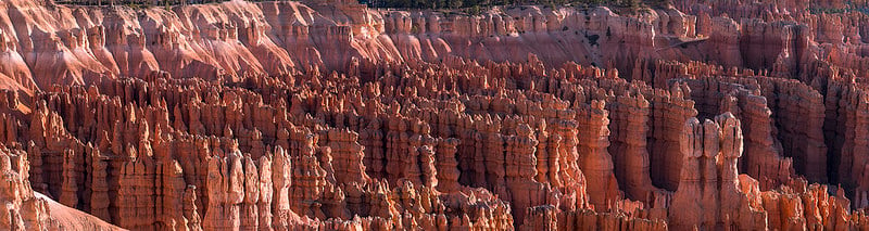 44935788471_0f790d5d76_c.jpg