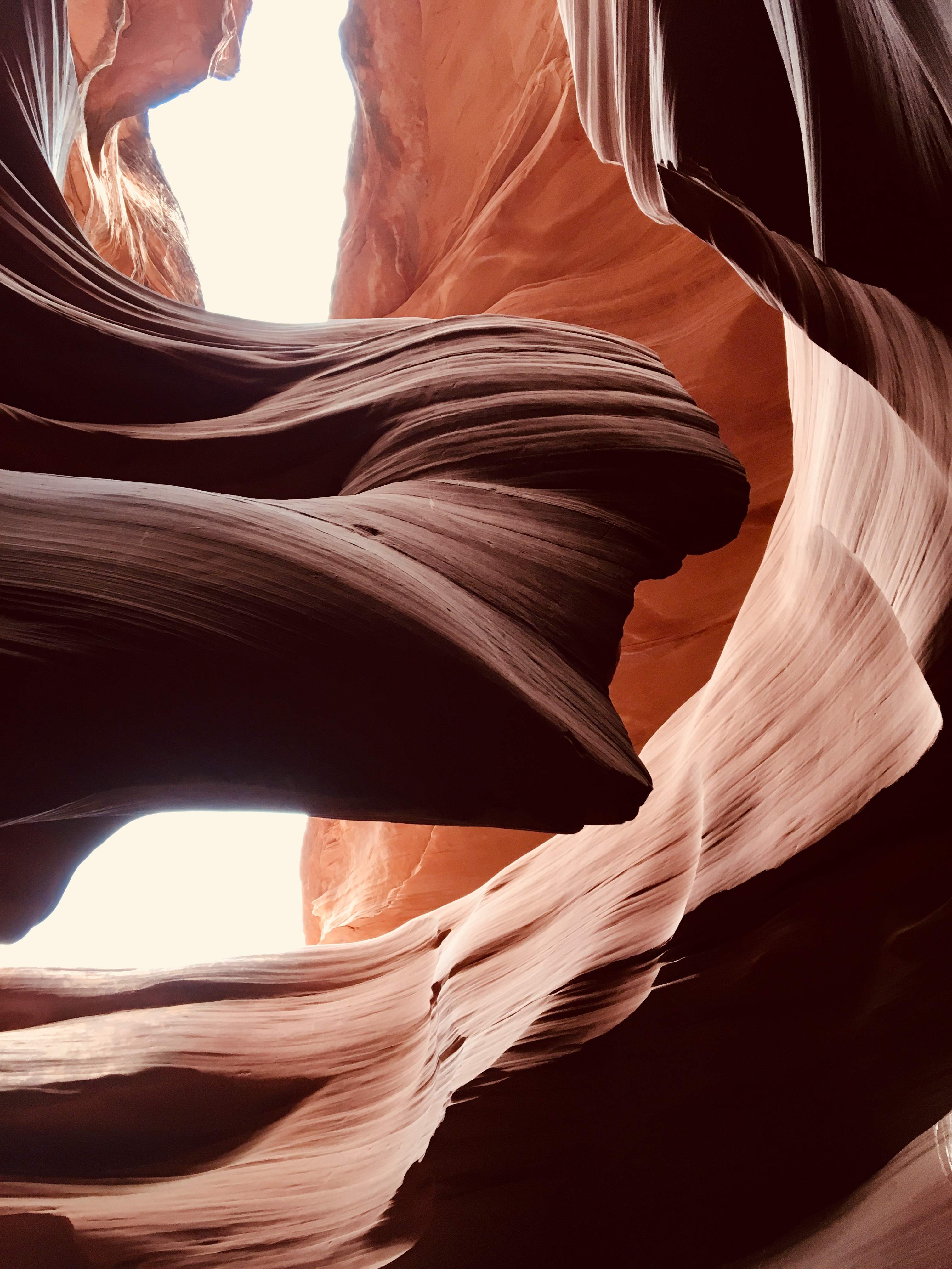 44F98C2E-4607-4032-AB24-AB0BC7F8B217.jpeg