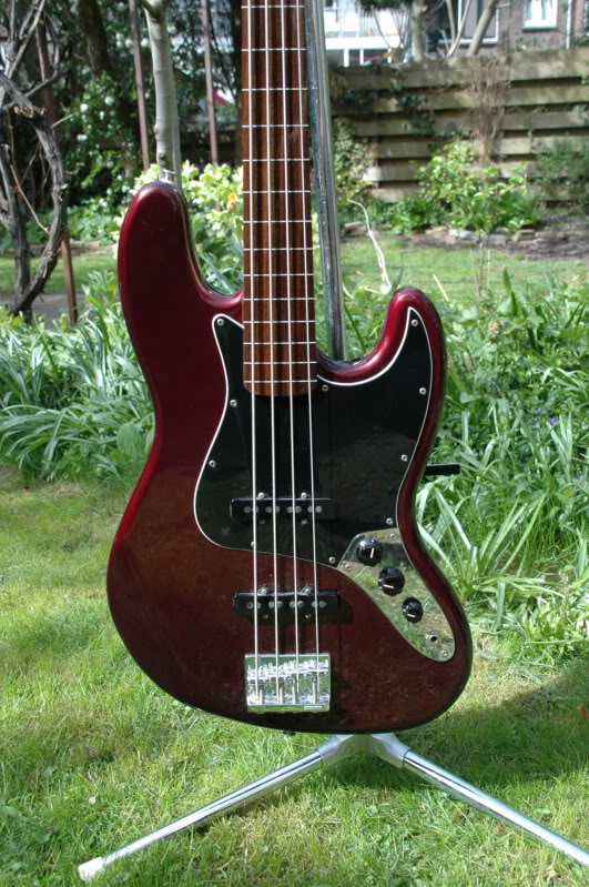 45197239.jpg