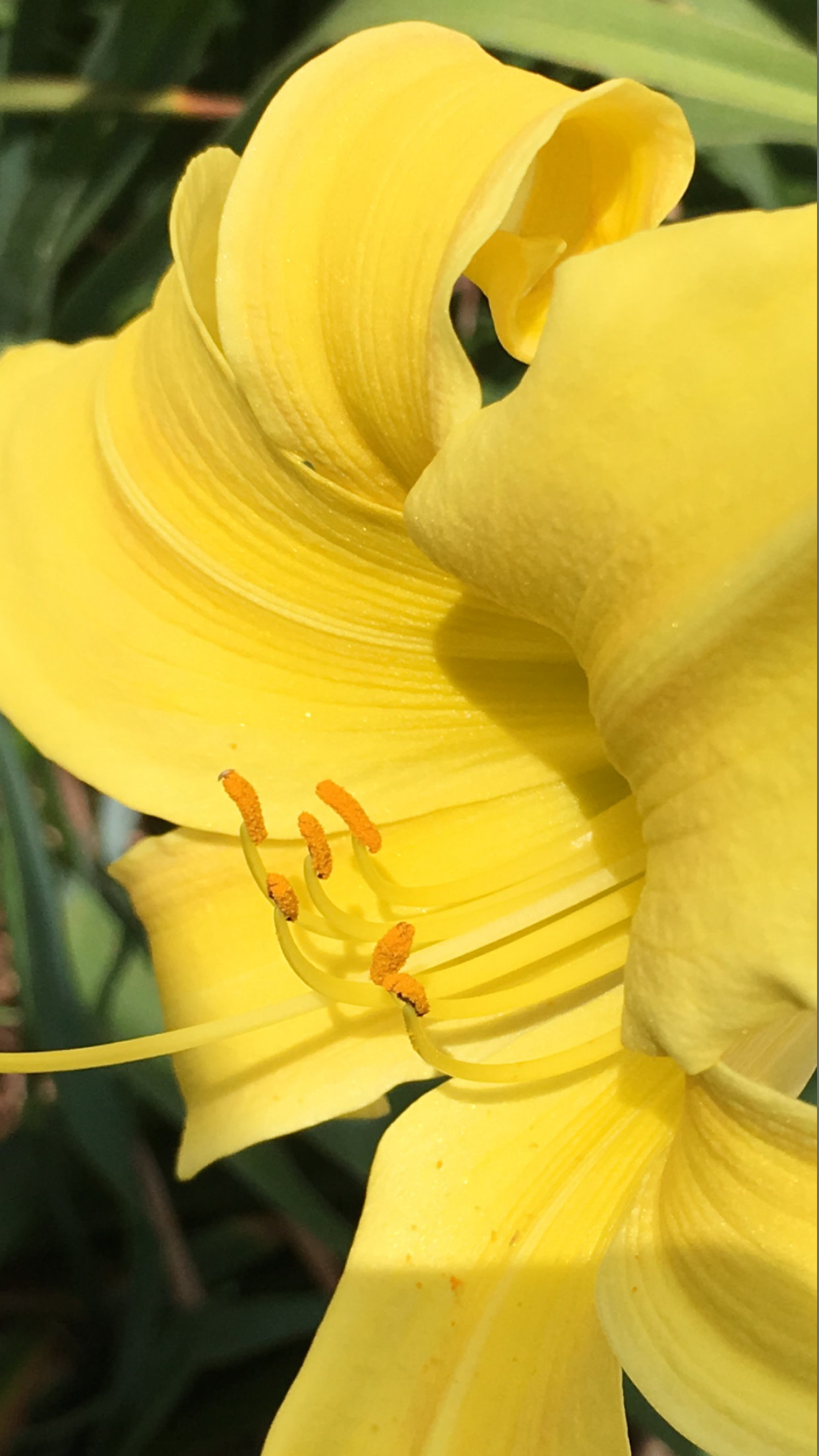 4580227A-A32F-42B4-8E07-D4BCC5B630D3.png