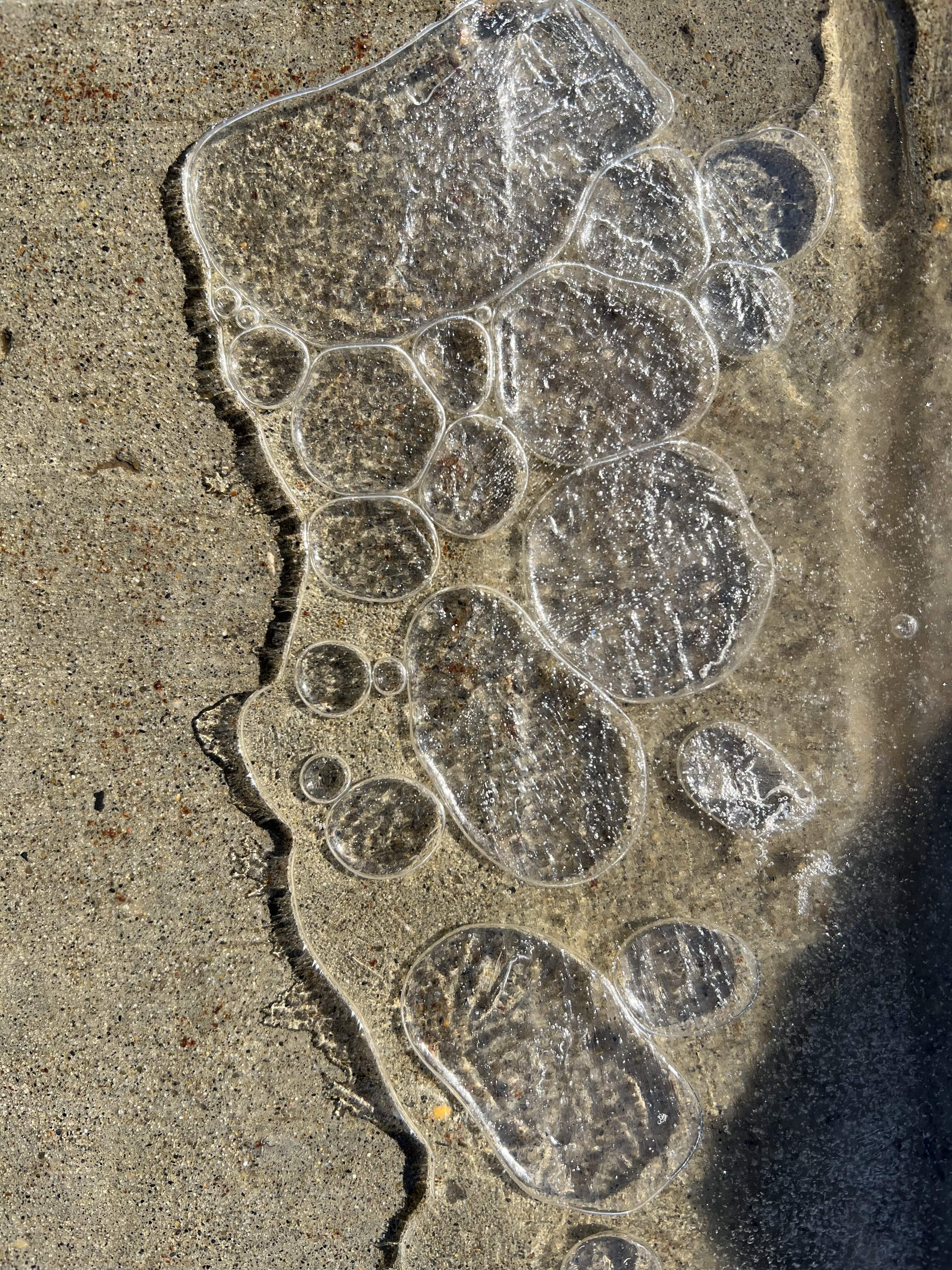 45815AD8-0E2C-4C88-B2A3-EC95D161533C.jpeg