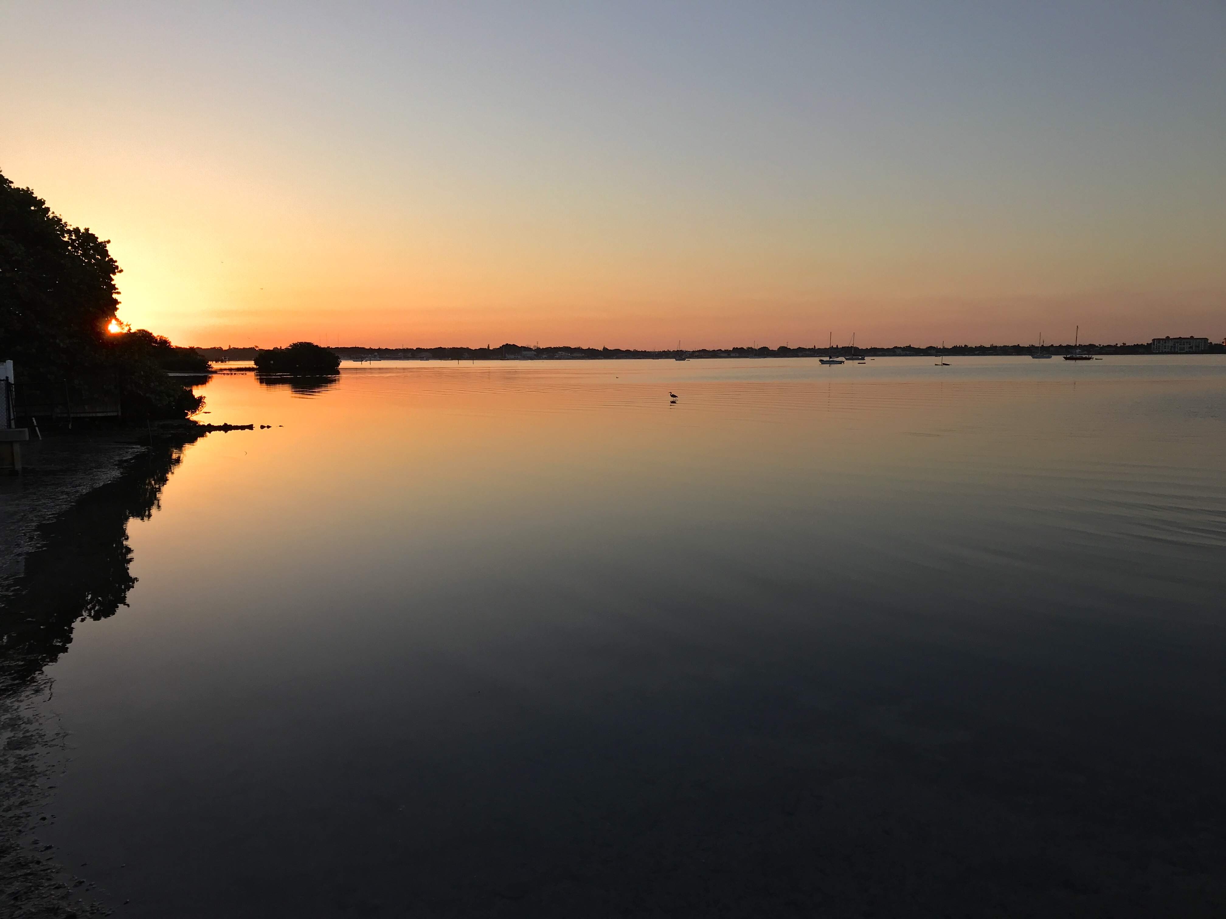 45BA02E9-63B3-45FF-AB98-52315E1BF026.jpeg
