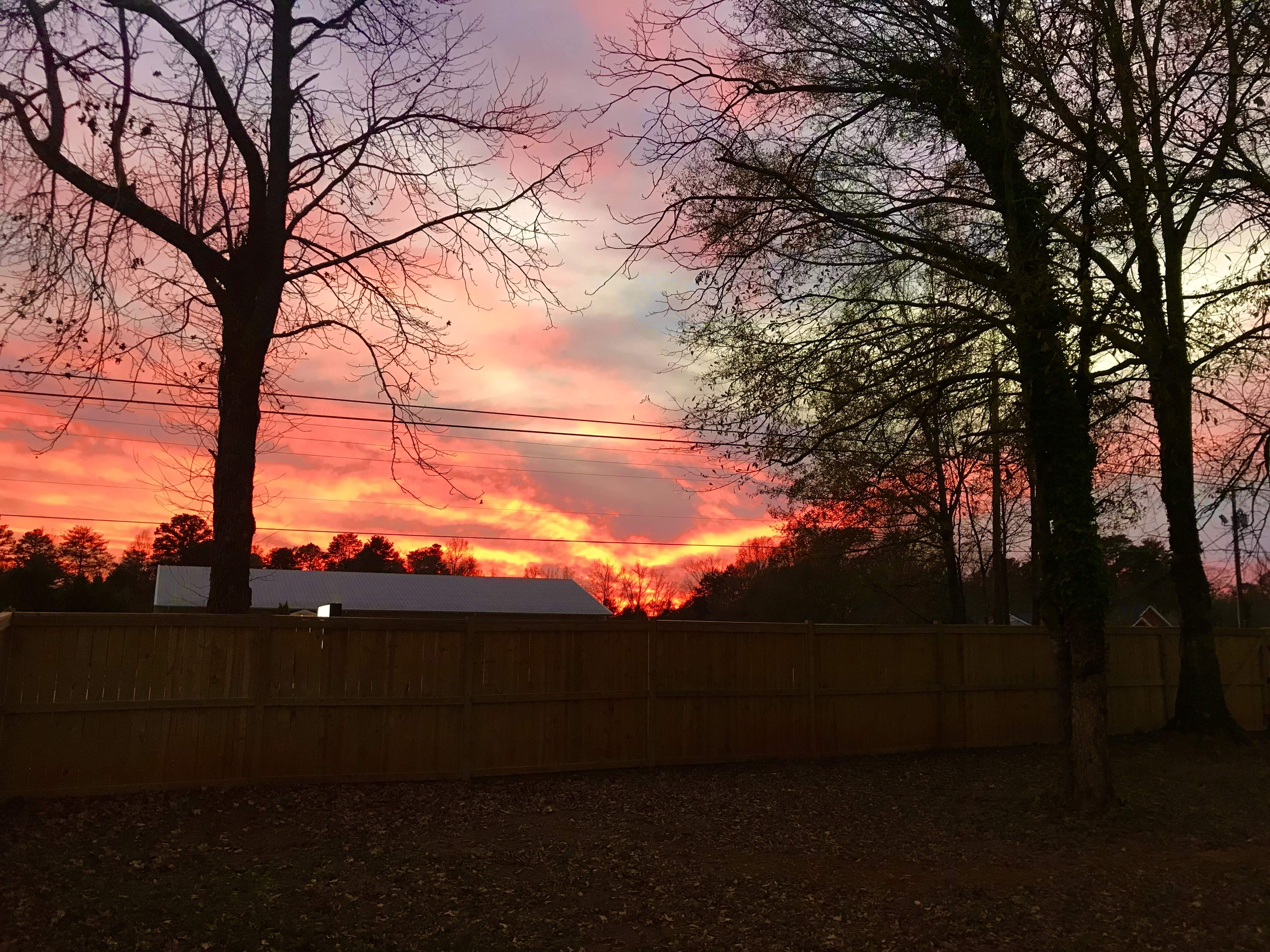 45F0892C-76E1-4F88-B970-17F7DC516C2A.jpeg