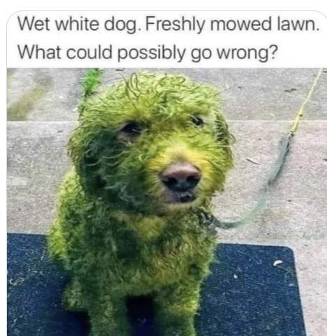 467E6786-5EEA-4F12-9058-486C29D13C14.jpeg