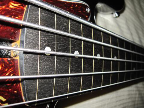 480_IMG_1877.jpg