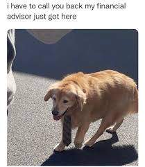 483B77C6-21D6-4E7E-B177-0D669DEEEFA2.jpeg