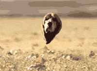 487130.gif