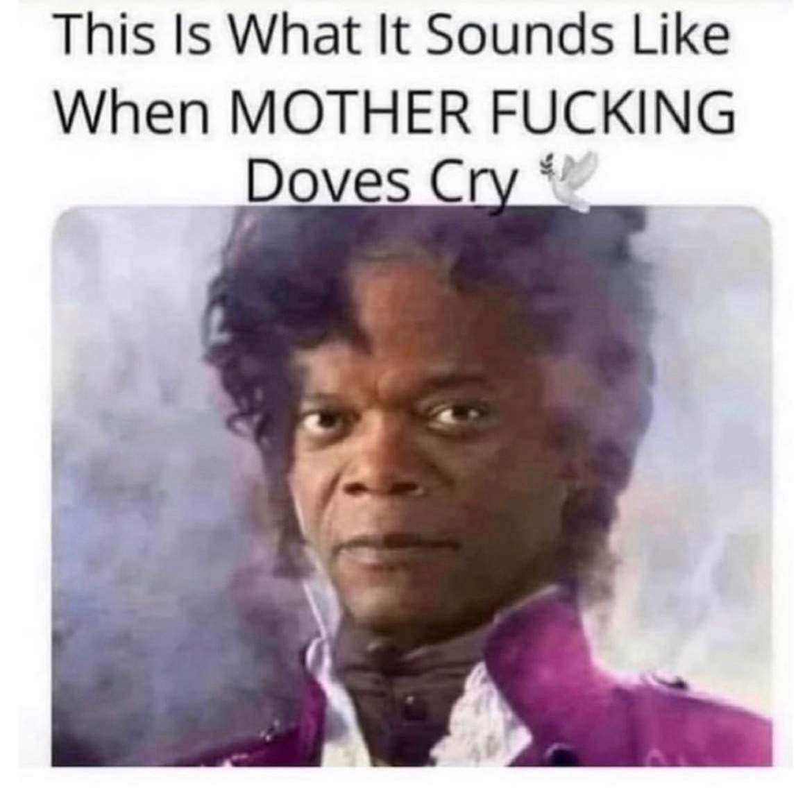 48735.jpeg