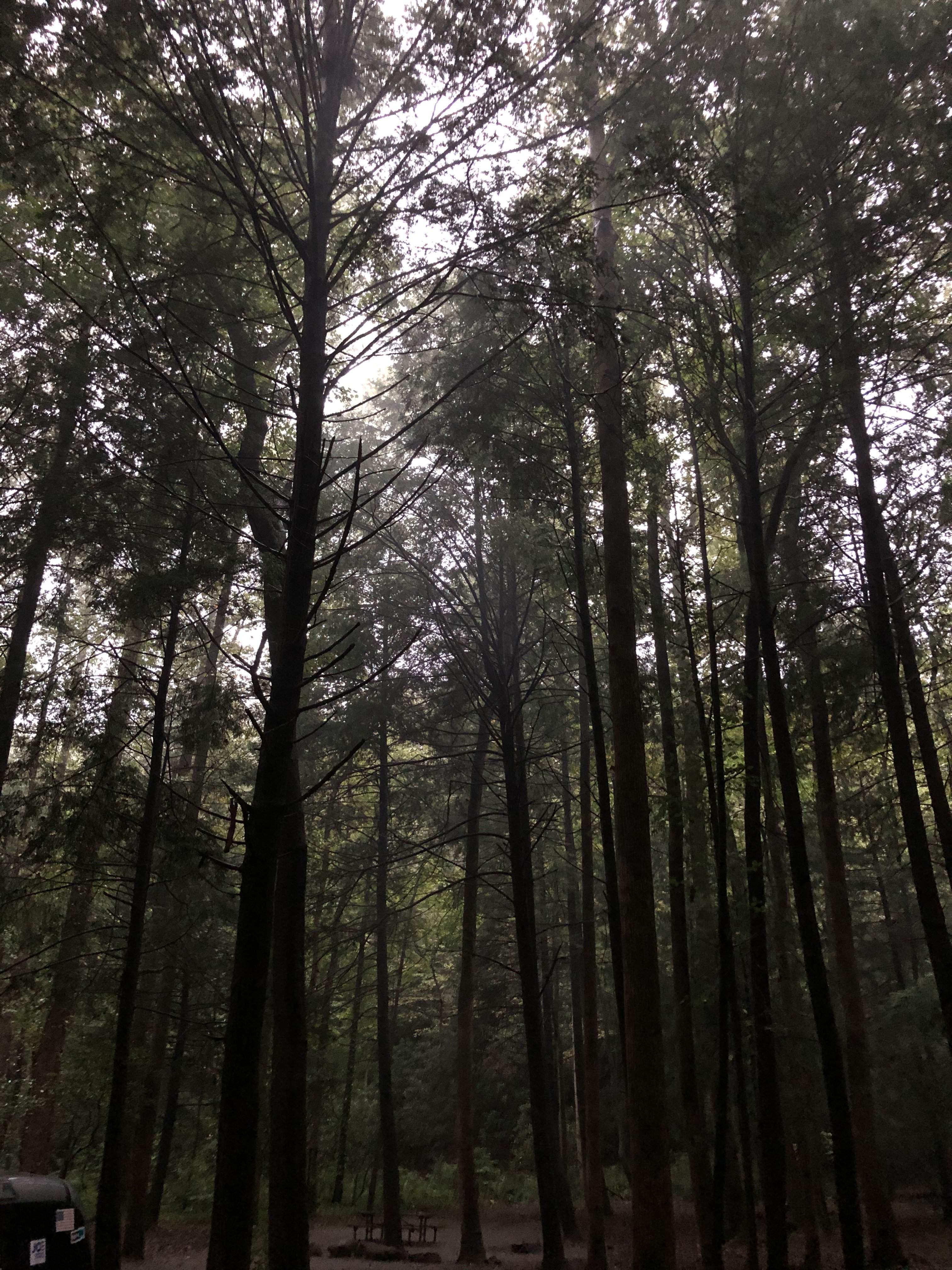494811BD-95E7-45F3-8FCD-204E9062E16E.jpeg
