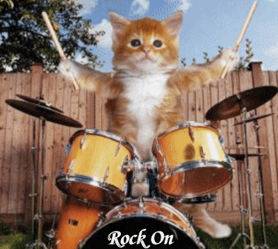 49561cfed62a796f18262fc29bb1dcc1.gif