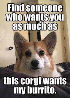 4AA1E639-0F6B-4CAB-9BAF-A35E035C4DF8.jpeg