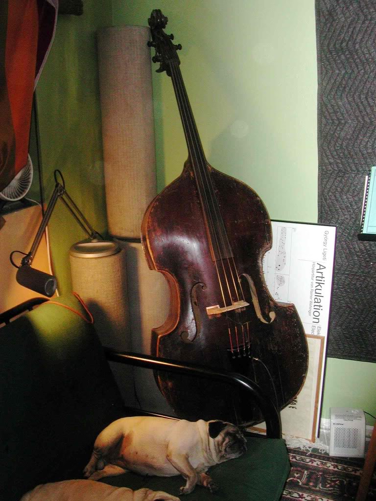 4Contrabass.jpg