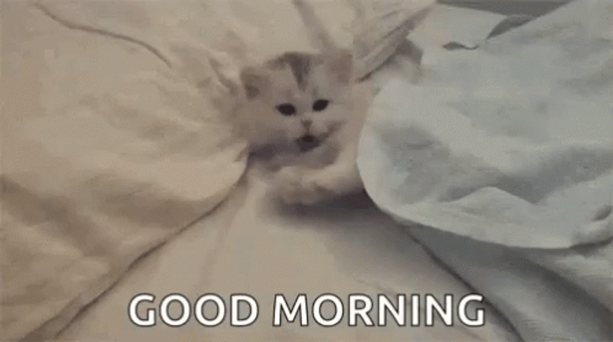 4D41134B-290D-4525-92B1-06B48BECB6EF.gif