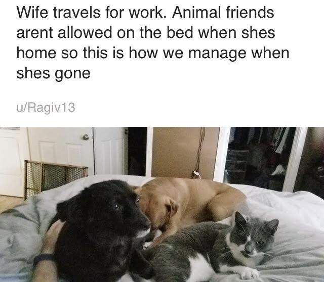4DE729C0-B2A2-4CA1-A7EB-9FA64700A2AA.jpeg
