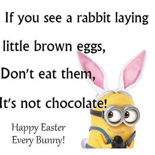 4e4313b4e795146e23869c10e19689c4.jpg
