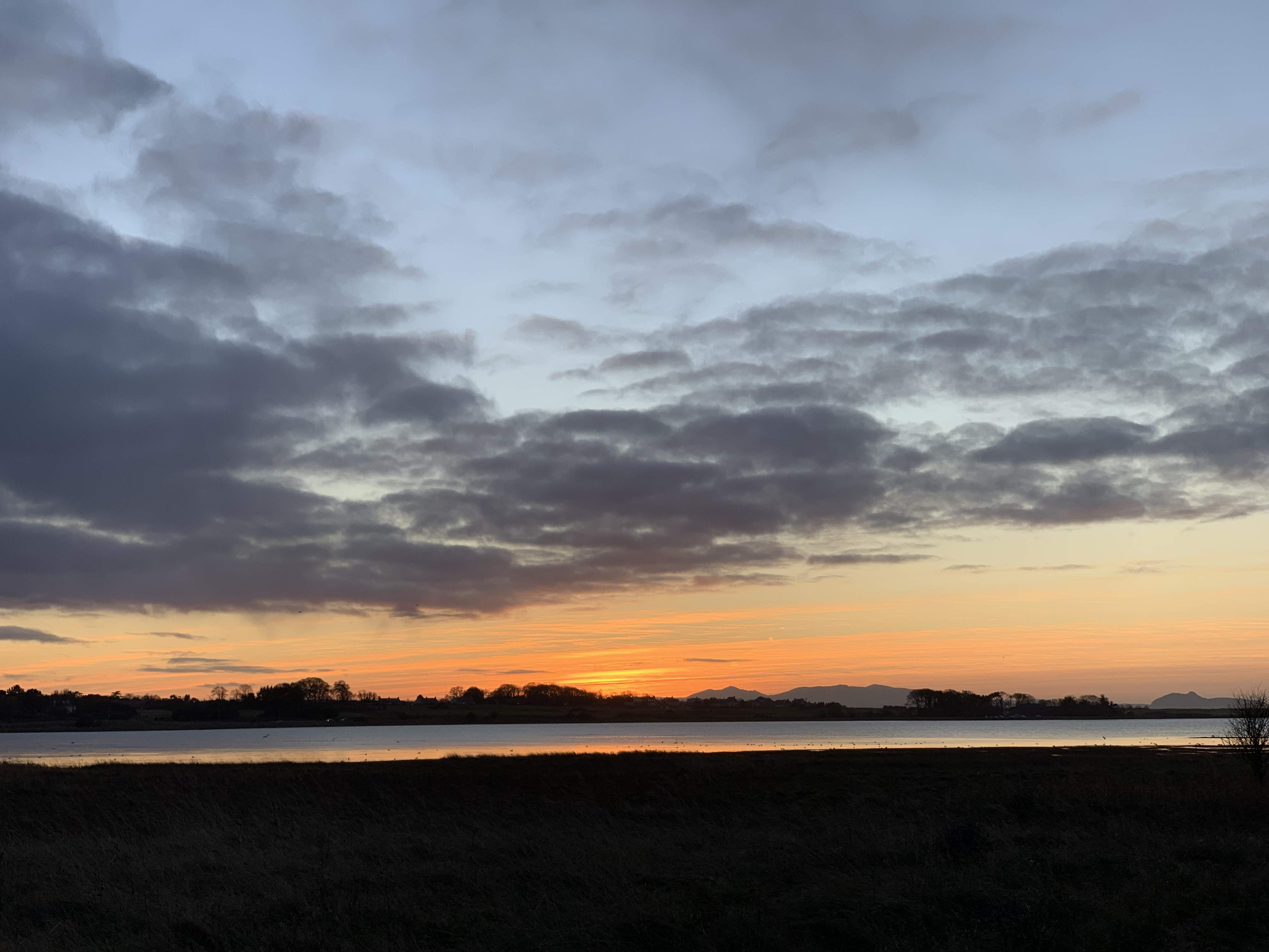 4F2CA223-F183-4C97-A97F-4D280D7F015F.jpeg