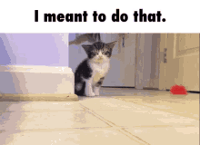 4F836E37-706D-4720-9A07-ACE1FBB2C4F7.gif
