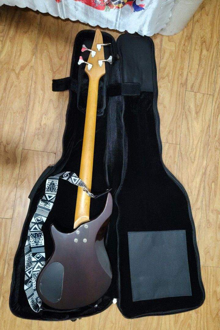 4string_korean_made_vigier_bas_1674833530_4f8e06e8_progressive.jpg