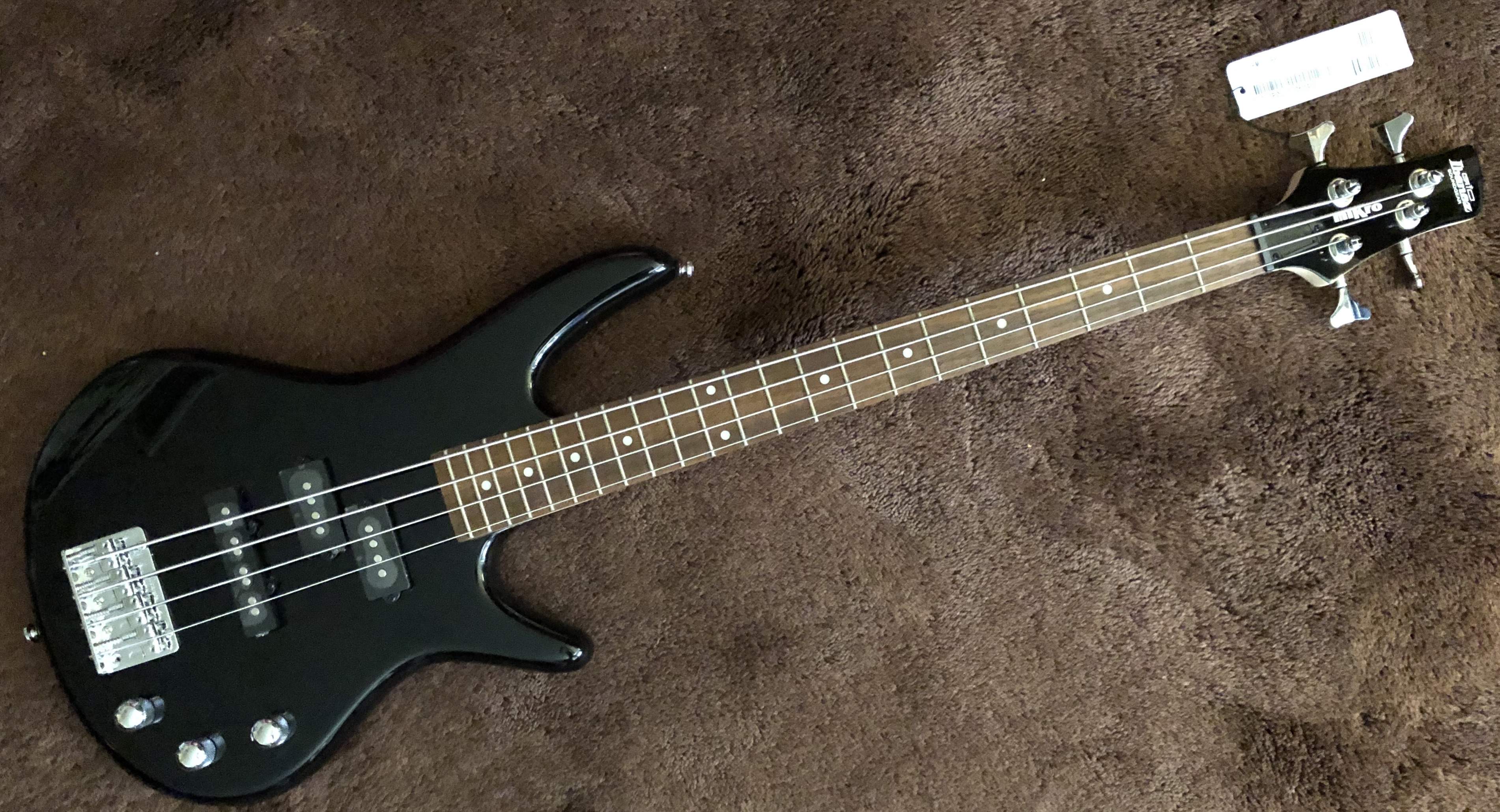 4stringMikro.jpg