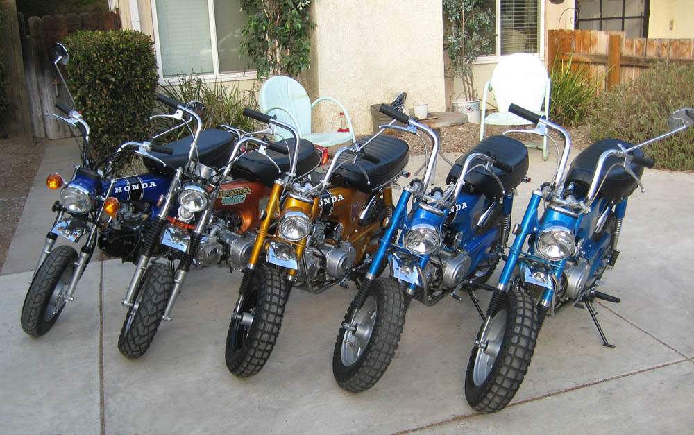 5-bikes-1.jpg