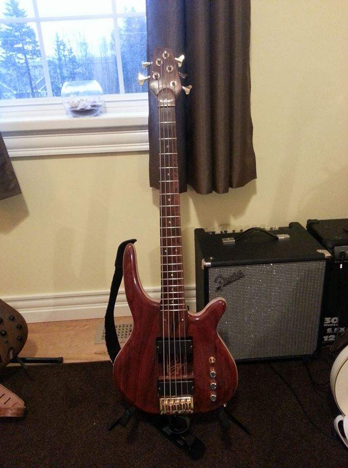 5 String Bass.jpg