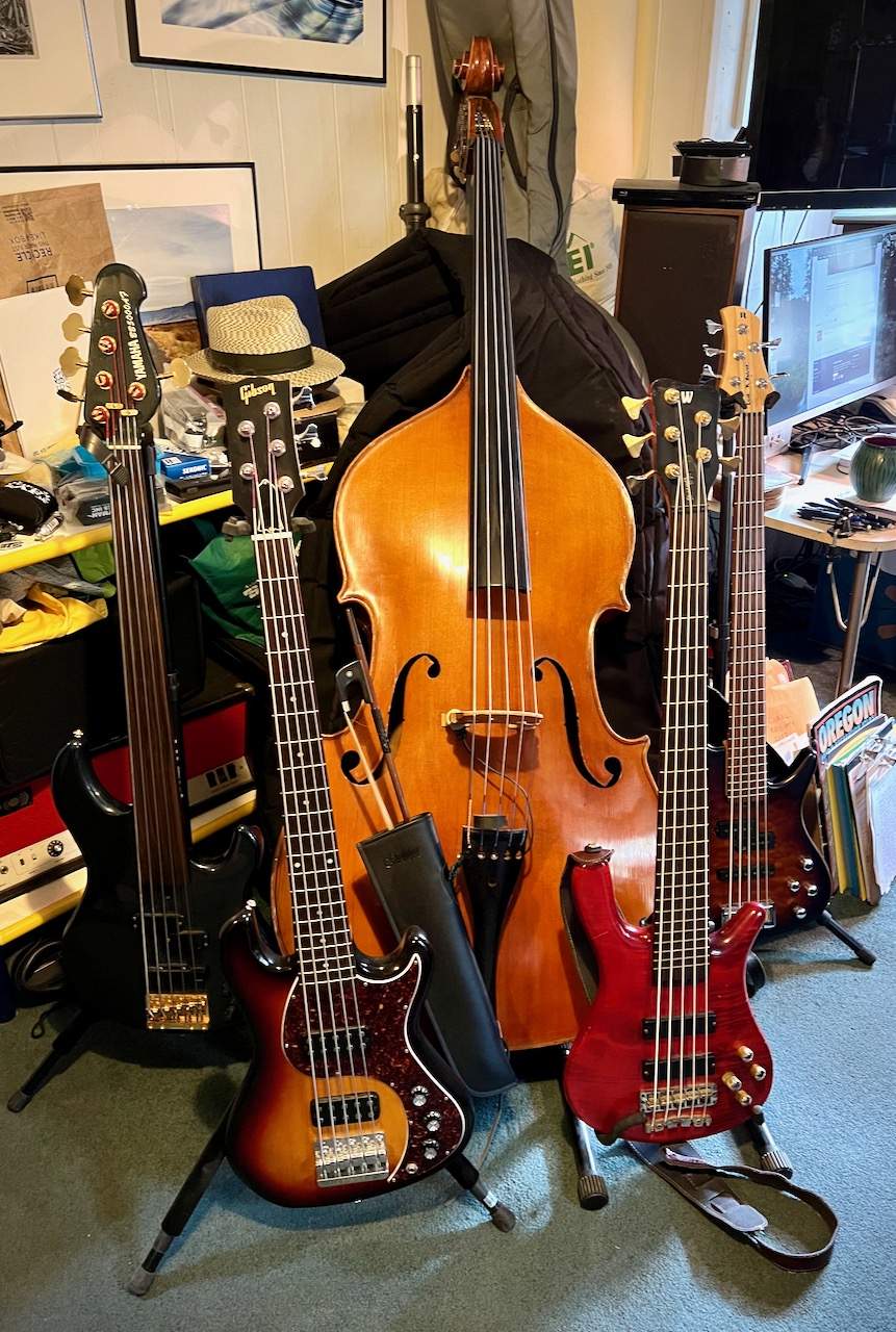 5-strings - 1.jpeg