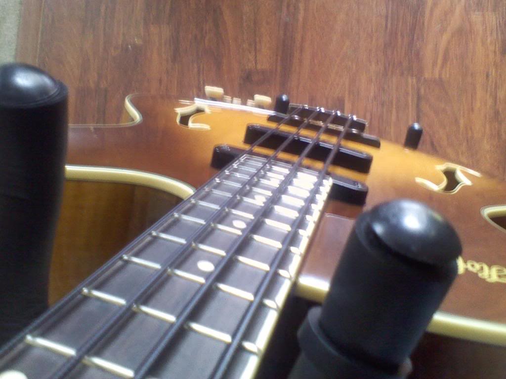 5005fretboard_zps9778ea4f.jpg