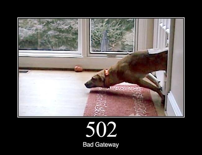 502.jpg