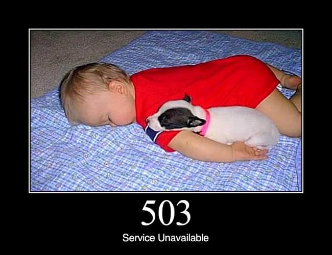 503.jpg