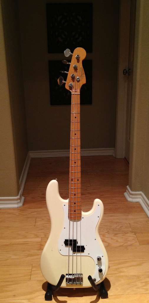 50334557368_f79e03af71_b.jpg