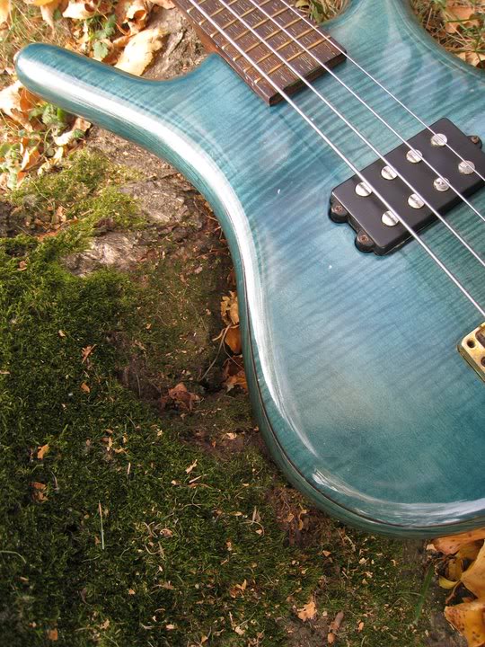 5089c479.jpg