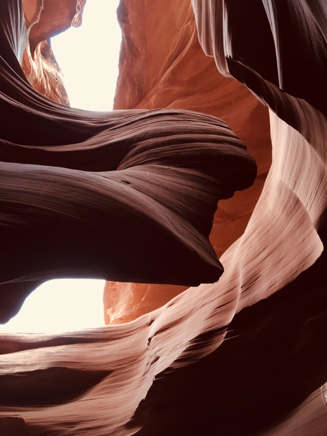 50EB0E0C-7357-4862-B38C-7C1C5034D415.jpeg