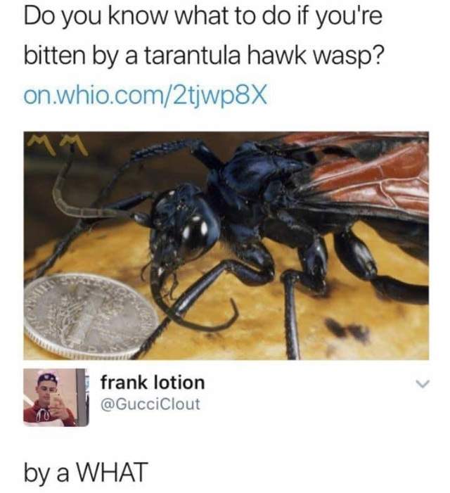 511F6142-D1E2-40D6-8922-6042EA0D4F55.jpeg