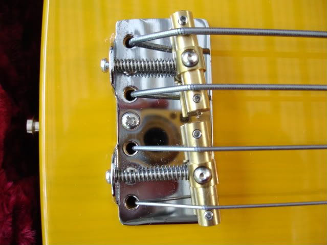 51P-bass002.jpg