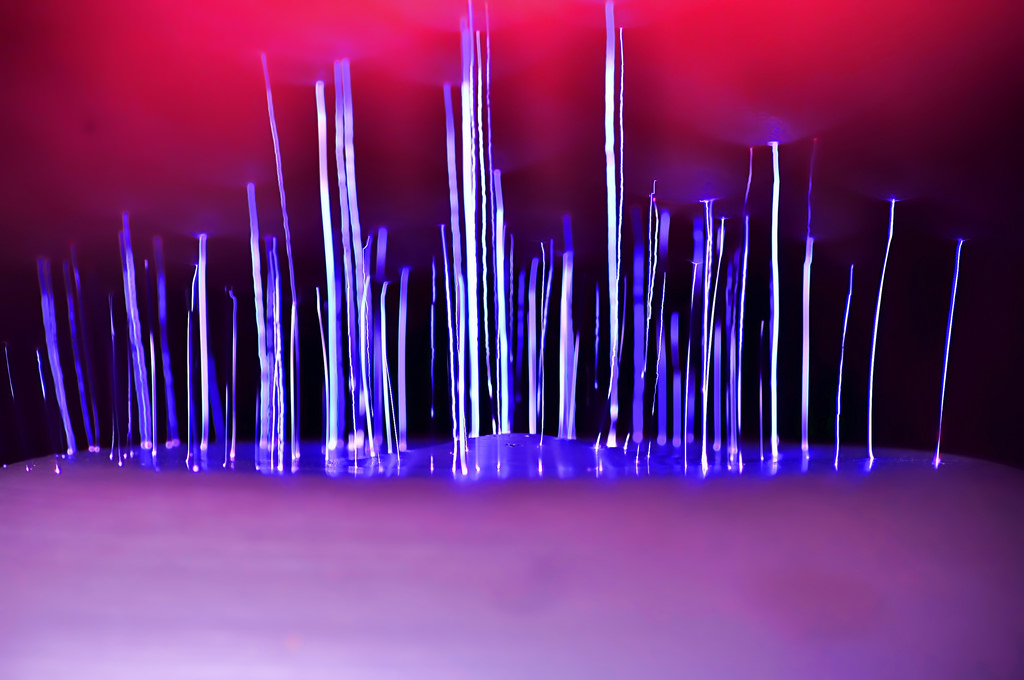 5259483461_0031c02013_b.jpg