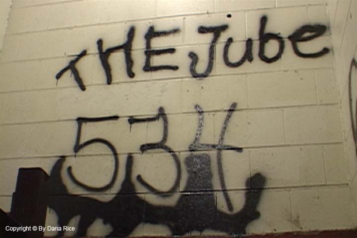 534-1c1b287.jpg