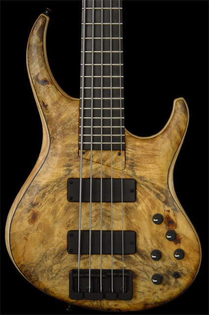535BuckeyeBurl_HighResTB.jpg