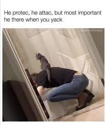 53DBAA98-BE06-4F8E-BEA3-8AAC3EC6EF70.jpeg