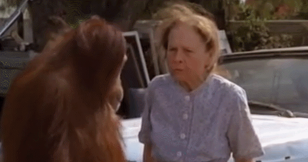 54151FF5-0FAC-4972-AD23-99B50107FF8F.gif
