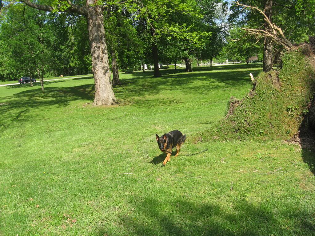 542011024.jpg