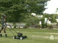 546765826_l.gif