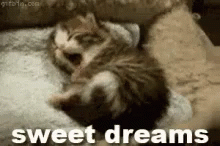 54F5351A-129F-4668-A51F-8A1FBB609B2C.gif