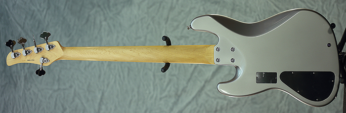 5513-BACK.jpg