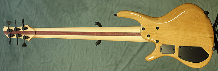 5526-BACK.jpg