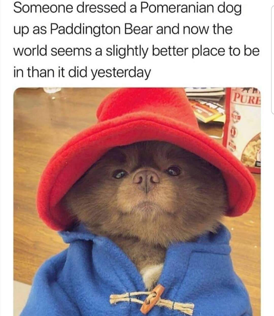 55732.jpeg